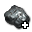 Cor_Atrum+_(Normal).png